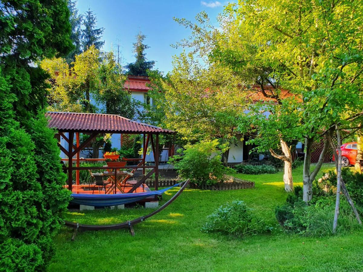 Pension Agnes Viseu de Sus Luaran gambar
