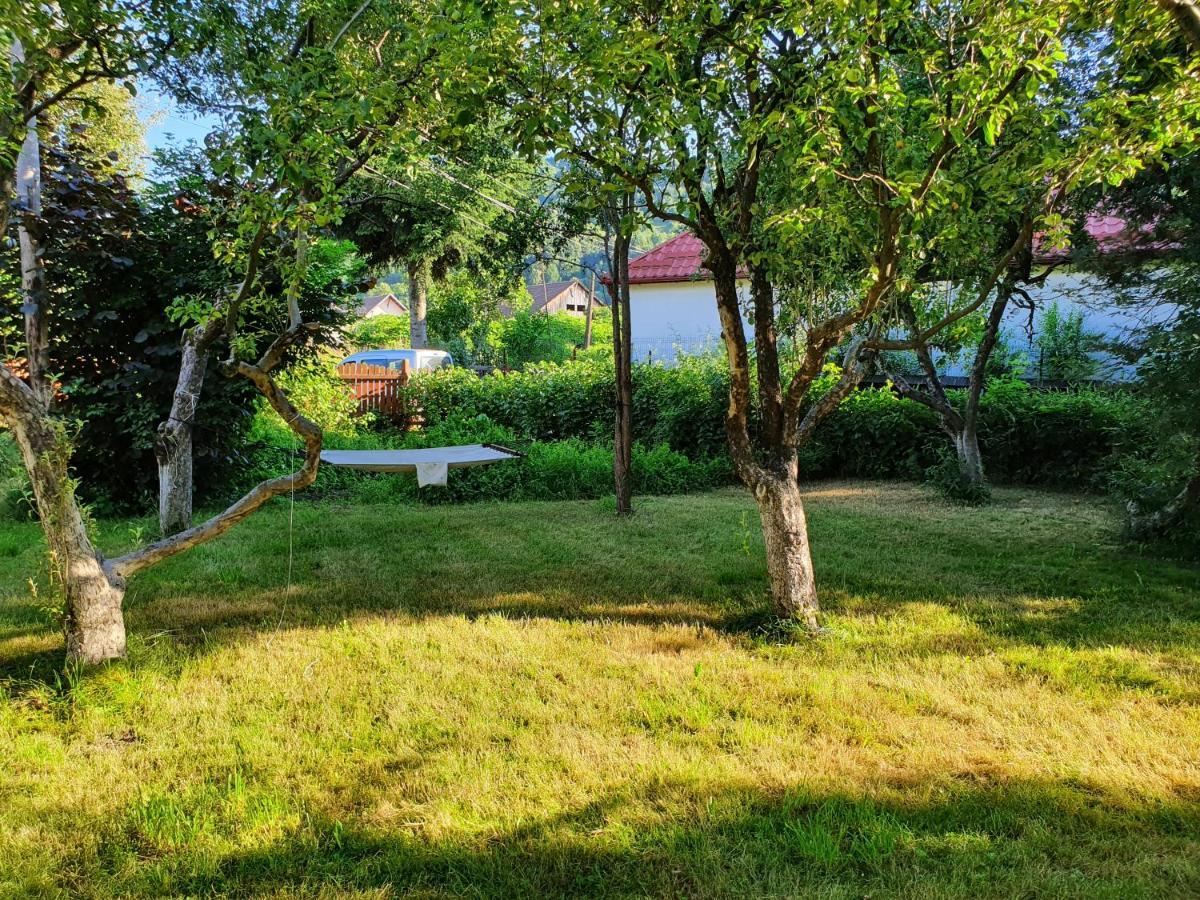 Pension Agnes Viseu de Sus Luaran gambar
