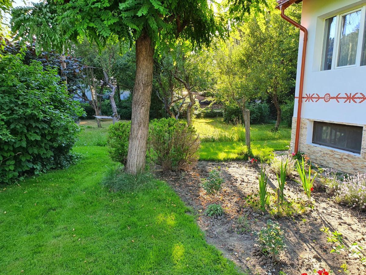 Pension Agnes Viseu de Sus Luaran gambar