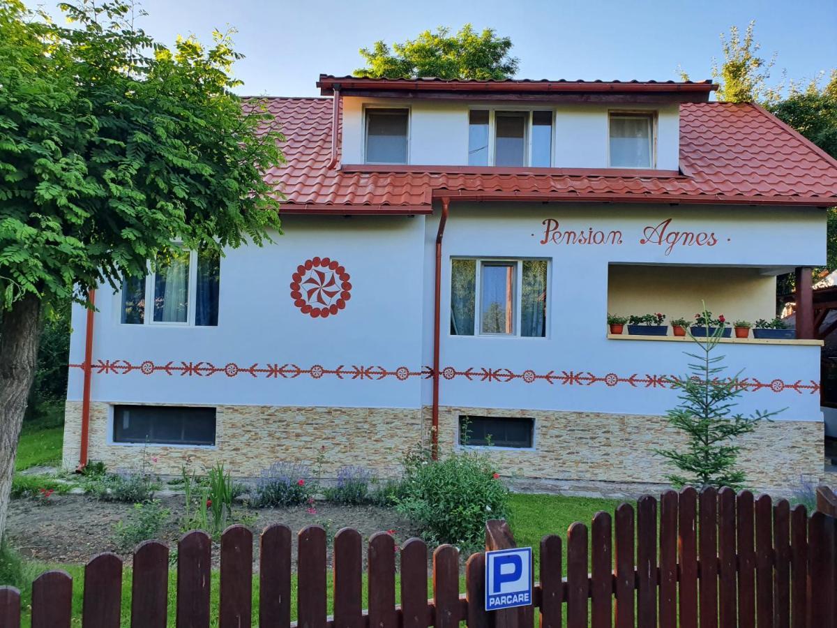 Pension Agnes Viseu de Sus Luaran gambar