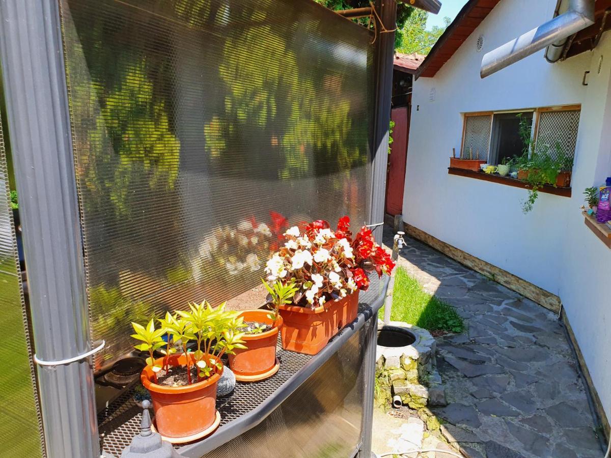 Pension Agnes Viseu de Sus Luaran gambar