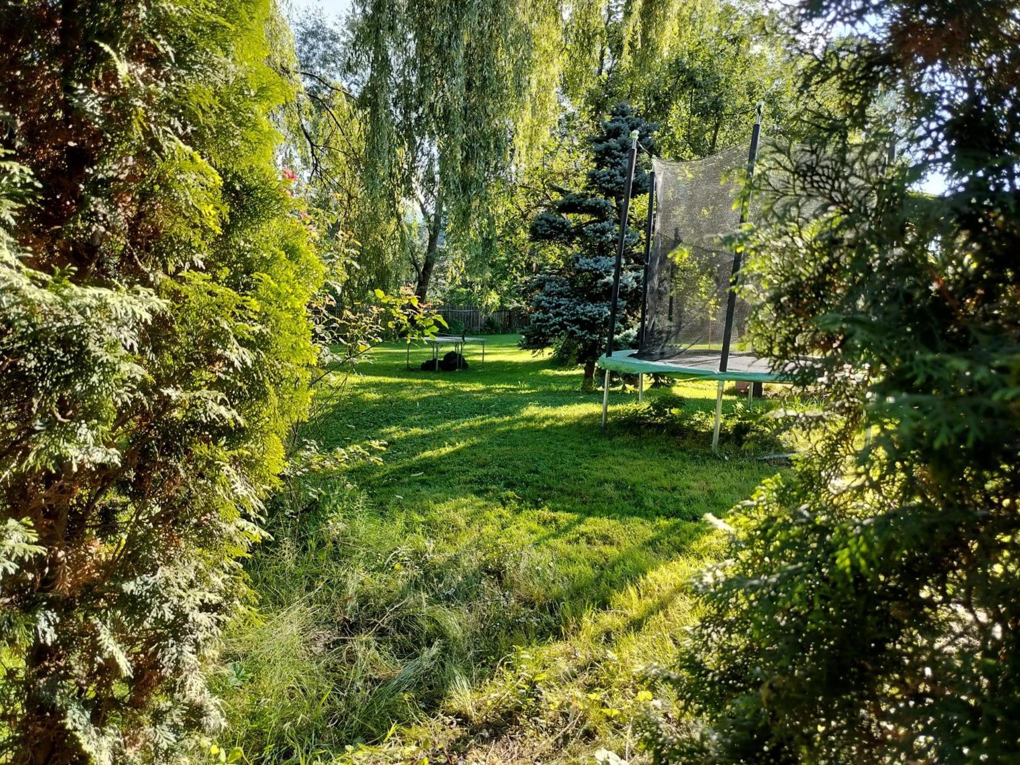 Pension Agnes Viseu de Sus Luaran gambar