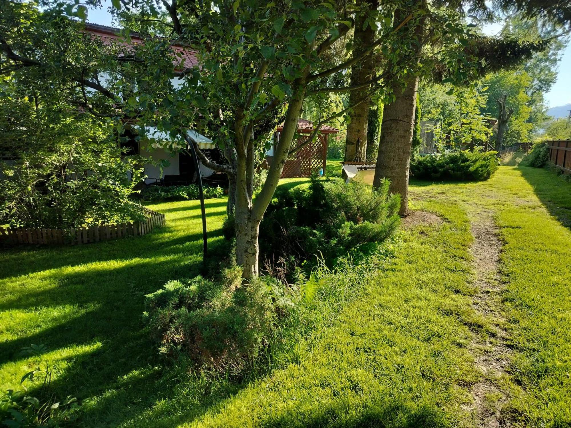 Pension Agnes Viseu de Sus Luaran gambar